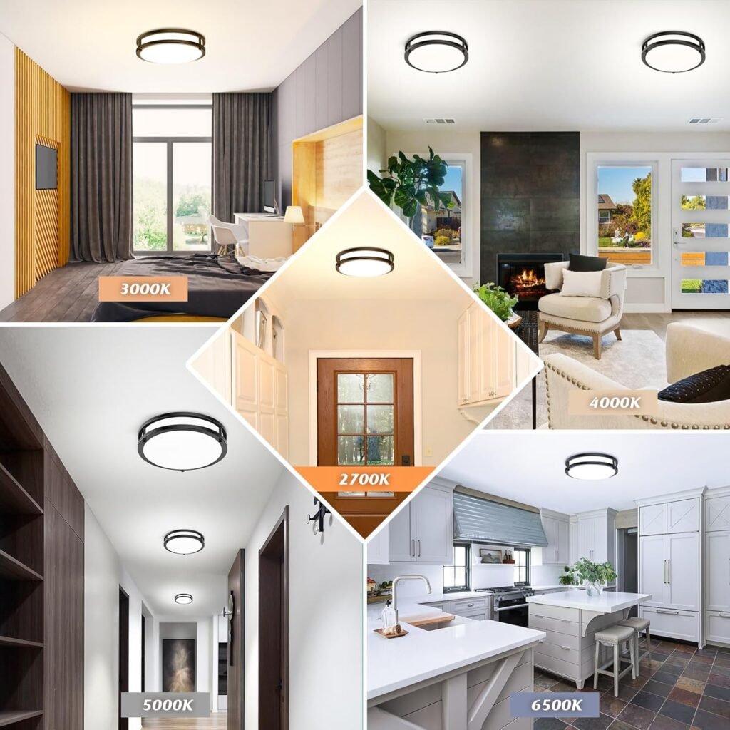 Flush Mount Ceiling Light Black, 30W 4000Lm 5CCT Dimmable LED Ceiling Light Fixture, 2700K/3000K/4000K/5000K/6500K Adjustable 10 Inch for Hallway Bedroom Bathroom Kitchen Closet Offices, Set of 2